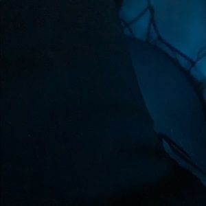 Meet your Posher, Rhinossshole226363663@gmail.com